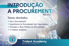 Introdução a Procurement