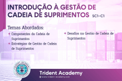 Introdução à Gestão de Cadeia de Suprimentos