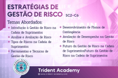 Estratégias de Gestão de Risco