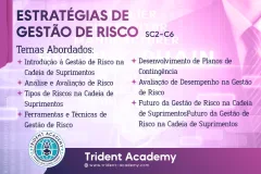 Estratégias de Gestão de Risco