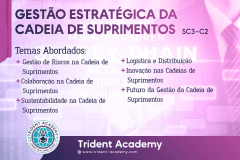 Gestão Estratégica da Cadeia de Suprimentos