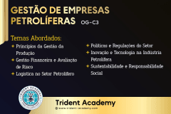 Gestão de Empresas Petrolíferas