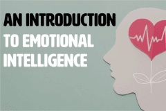 An Introduction to Emotional Intelligence