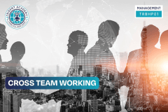 Cross Team Working