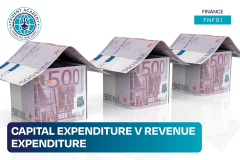 Capital Expenditure vs. Revenue Expenditure