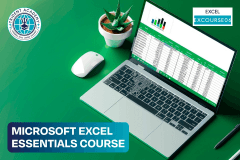 Microsoft Excel Essentials Course