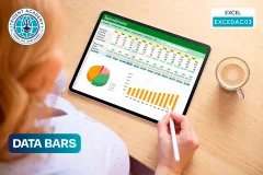 Data Bars