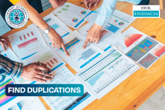 Find Duplications
