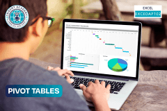 Pivot Tables