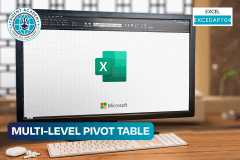Multi-Level Pivot Table
