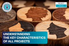 Understanding The Key Characteristics Of All Projects