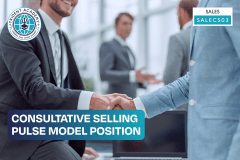Consultative Selling - Pulse Model Position