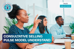 Consultative Selling - Pulse Model Understand
