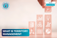 What Is Territory Management