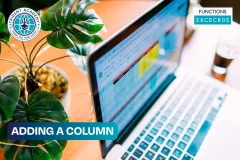 Adding a Column