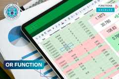 OR Function