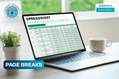 Page Breaks