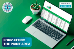 Formatting The Print Area