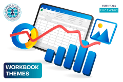 Workbook Themes
