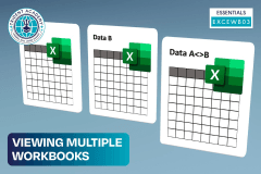 Viewing Multiple Workbooks