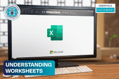 Understanding Worksheets