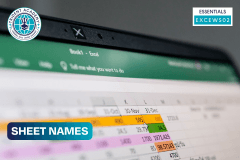 Sheet Names