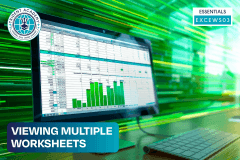 Viewing Multiple Worksheets