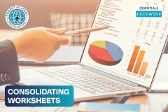 Consolidating Worksheets