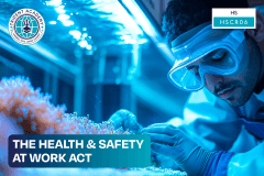 The Health & Safety At Work Act