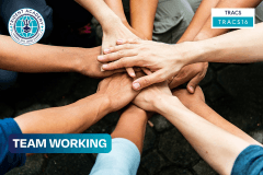 Team Working
