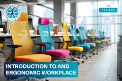 Introduction To And Ergonomic Workplace