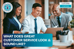 What Does Great Customer Service Look & Sound Like?