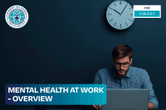 Mental Health At Work - Overview