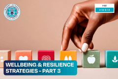 Wellbeing & Resilience Strategies - Part 3