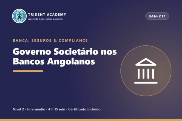 Governo Societário nos Bancos Angolanos