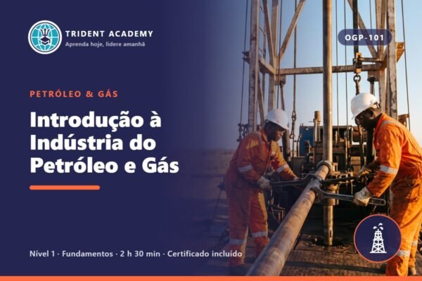 Introdução à Indústria do Petróleo e Gás