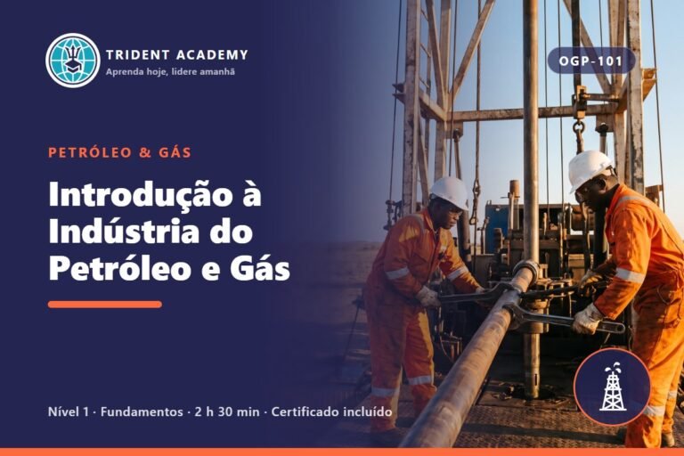 Introduction to the Oil and Gas Industry