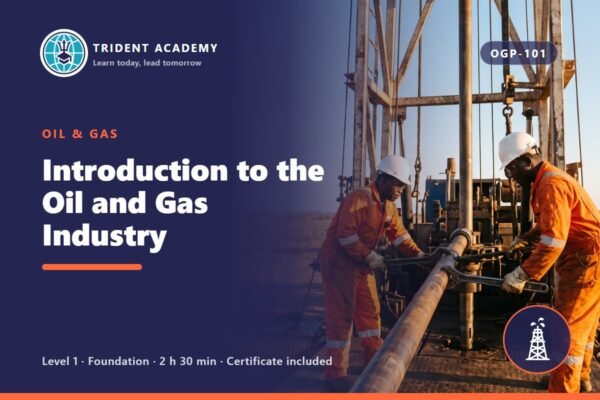 Introduction to the Oil and Gas Industry
