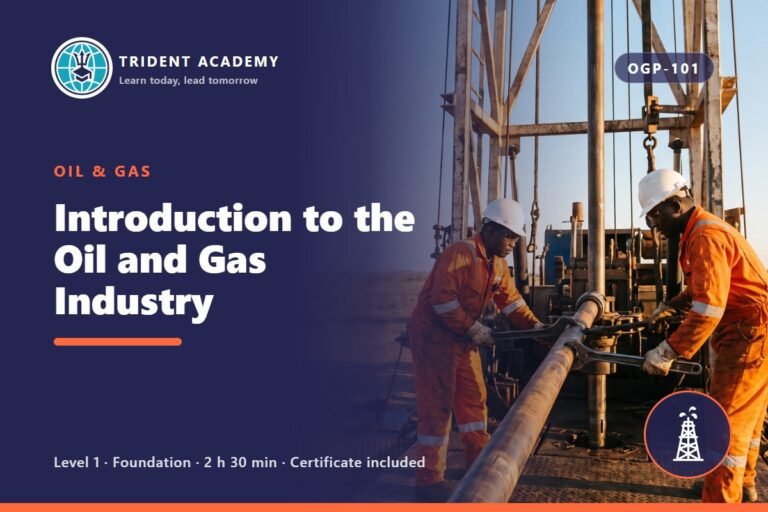 Introduction to the Oil and Gas Industry