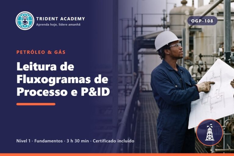 Reading Process Flow Diagrams and P&IDs