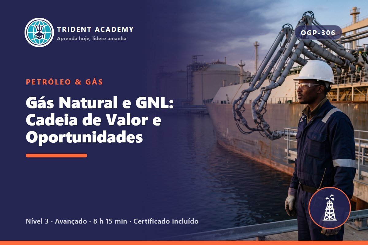 Gás Natural e GNL: Cadeia de Valor e Oportunidades