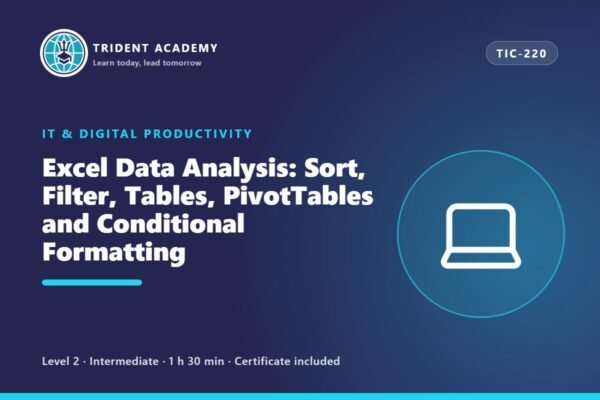 Excel Data Analysis: Sort, Filter, Tables, PivotTables and Conditional Formatting