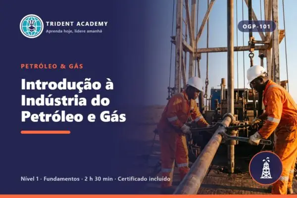 Introduction to the Oil and Gas Industry
