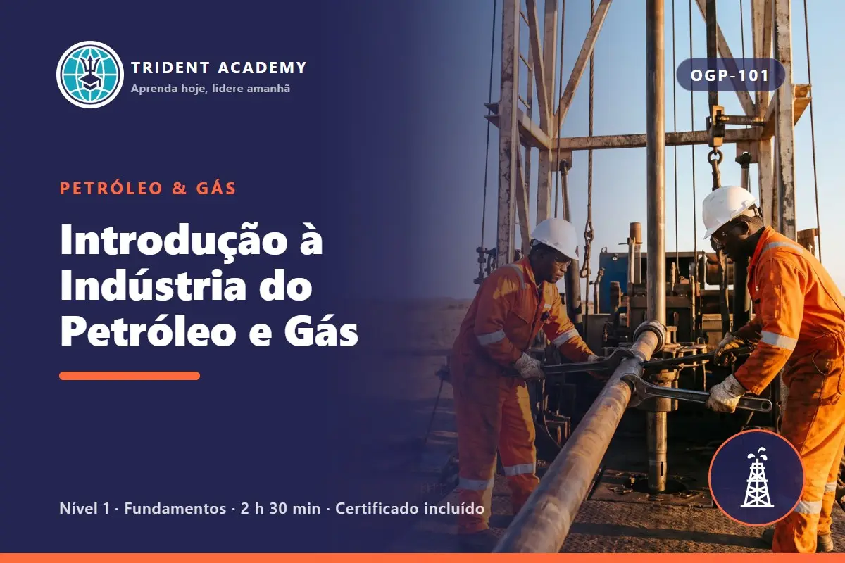 Introduction to the Oil and Gas Industry