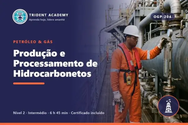 Hydrocarbon Production and Processing